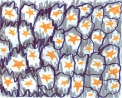 Family backyard campfires