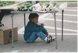 Know more about the Hmong in the Chippewa Valley