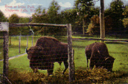 Learn why people like to go to Irvine Park in Chippewa Falls